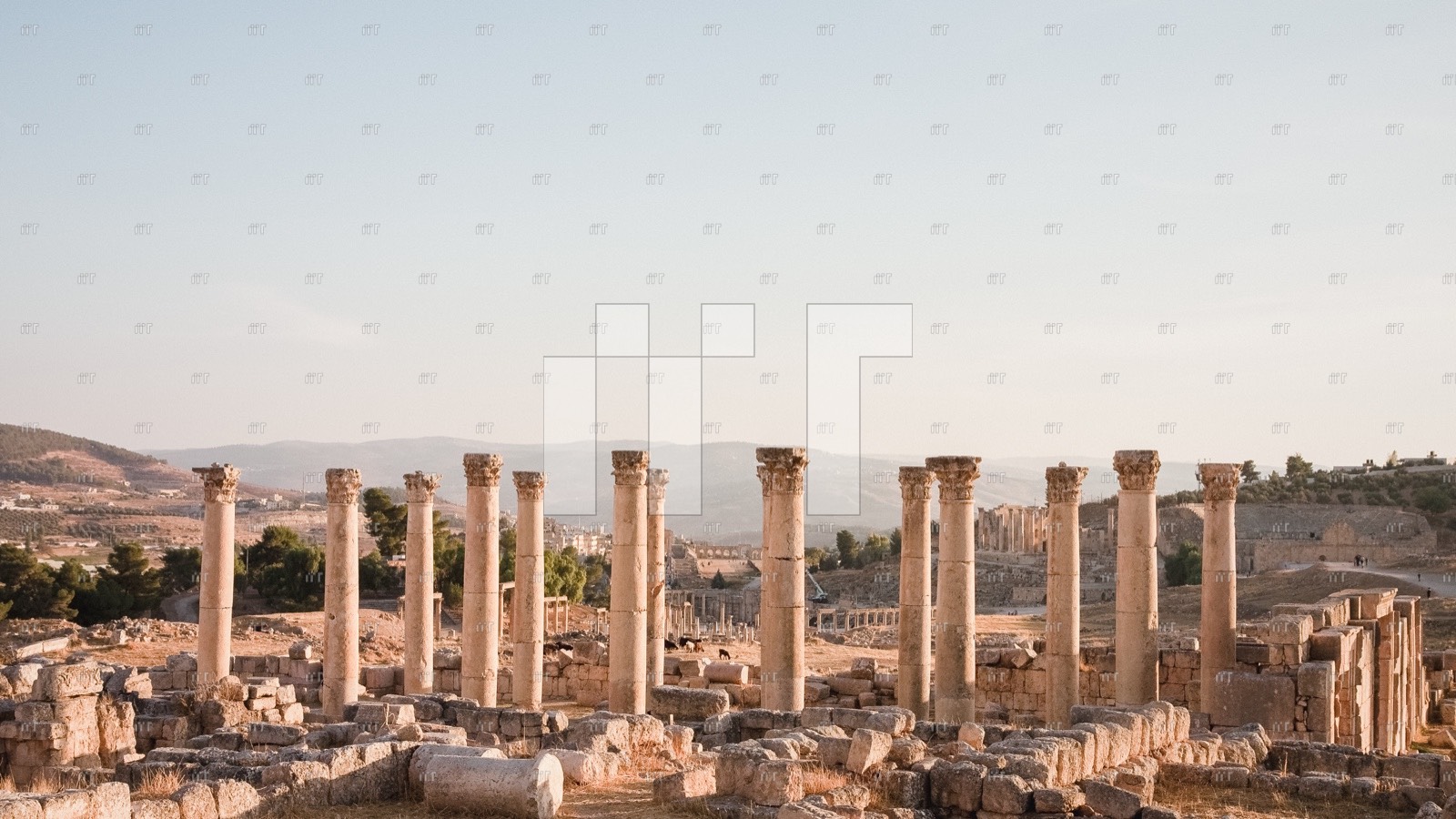 Rows of ancient stone columns in soft afternoon light