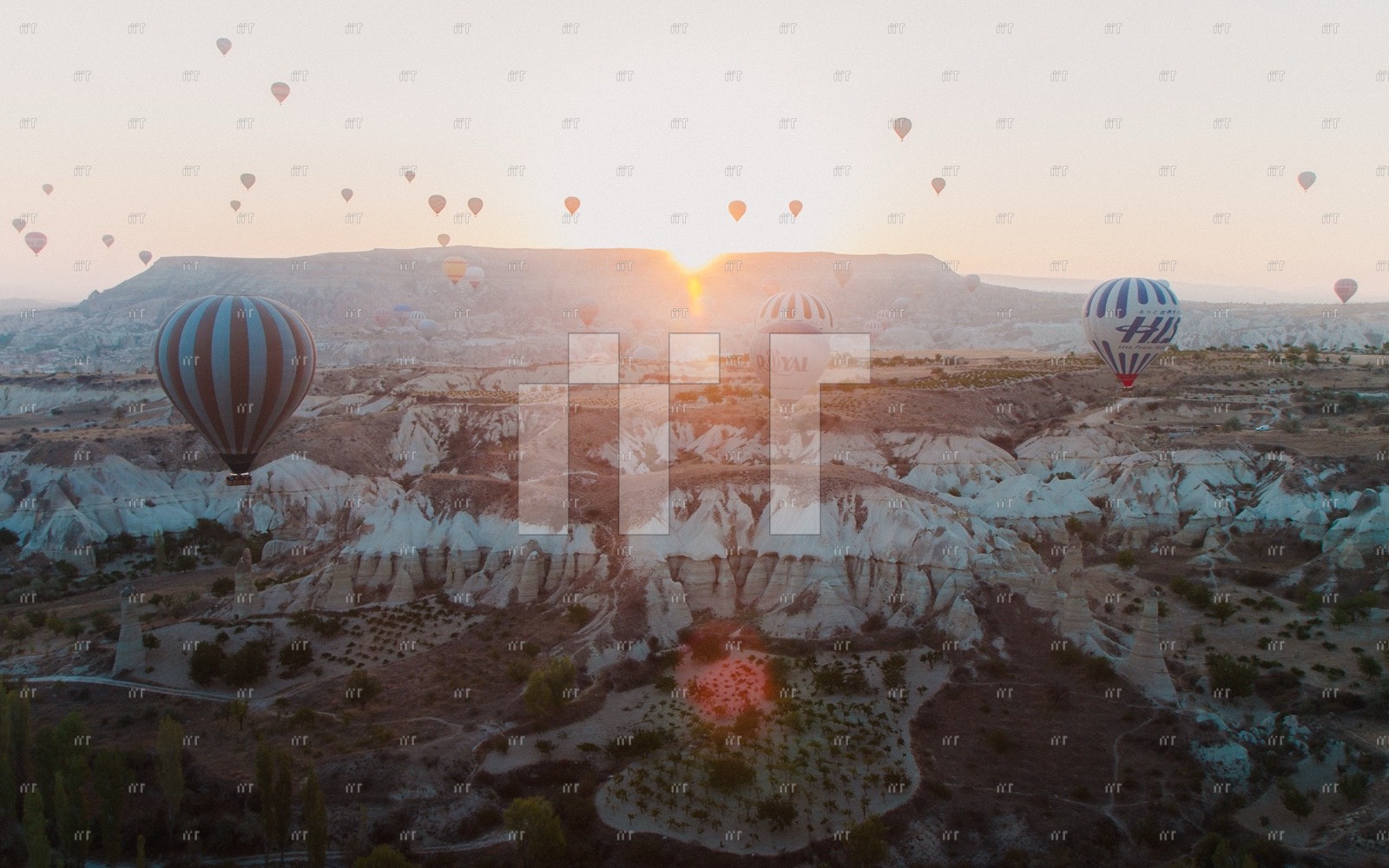 Hot-air balloons rising over the rocky valleys of Cappadocia at sunrise