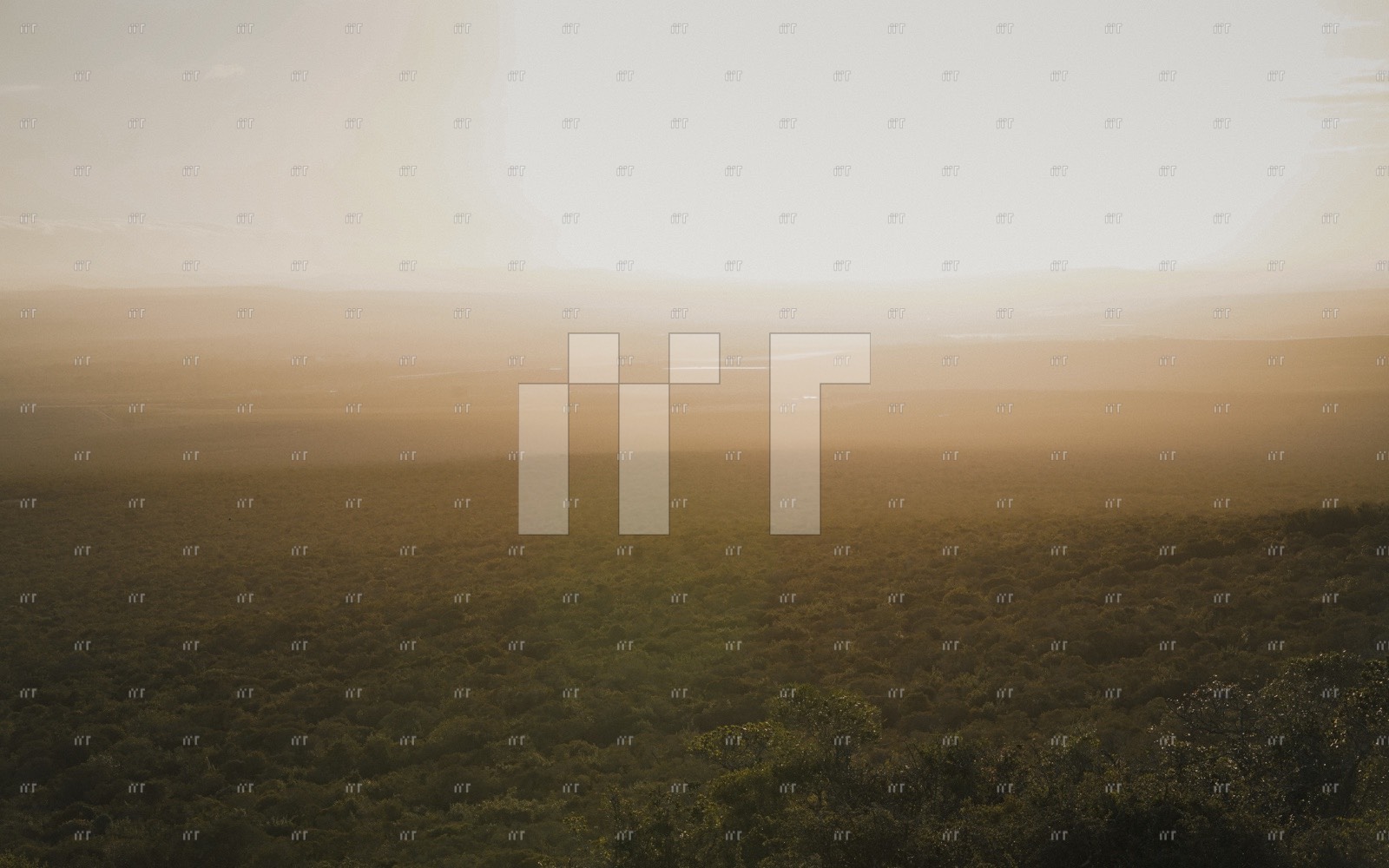 A soft, misty sunrise over a wide valley