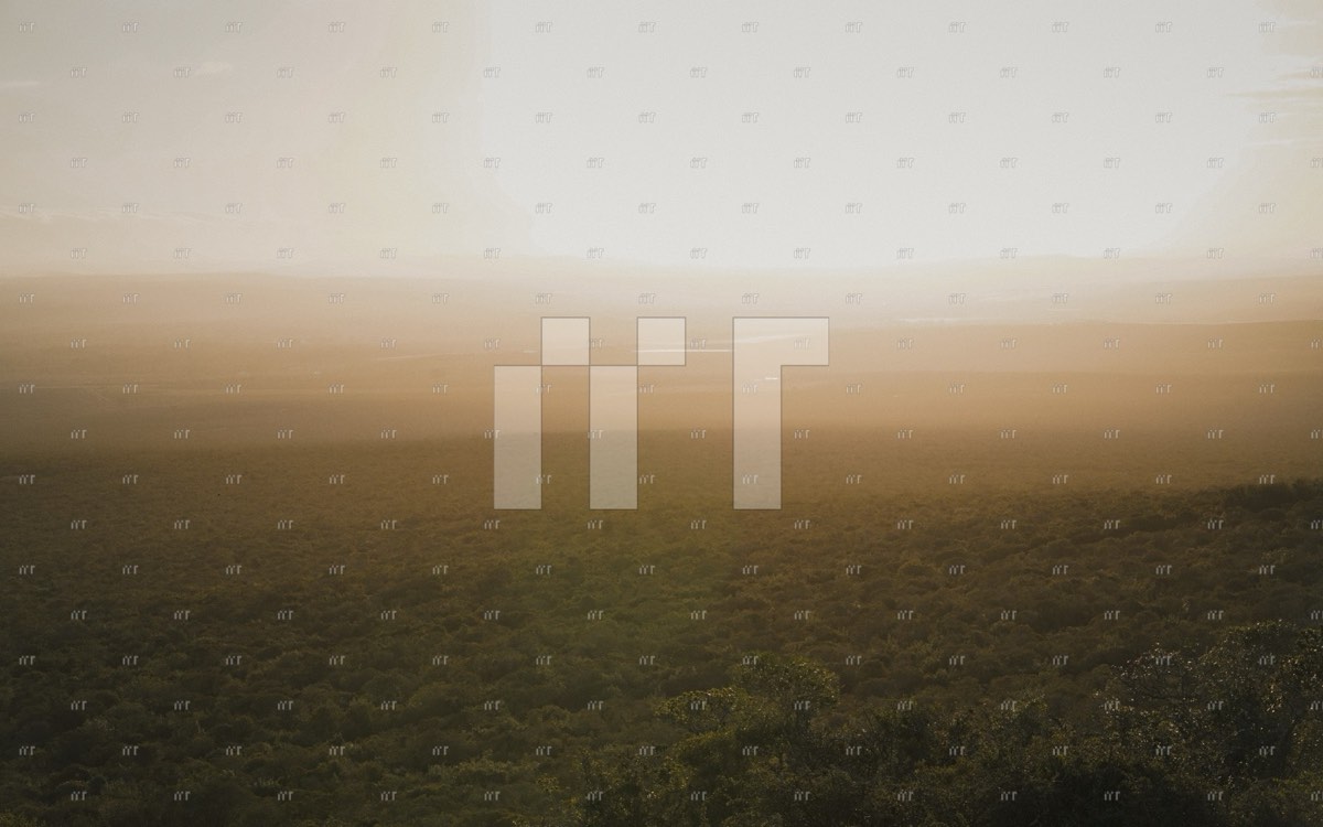 A soft, misty sunrise over a wide valley