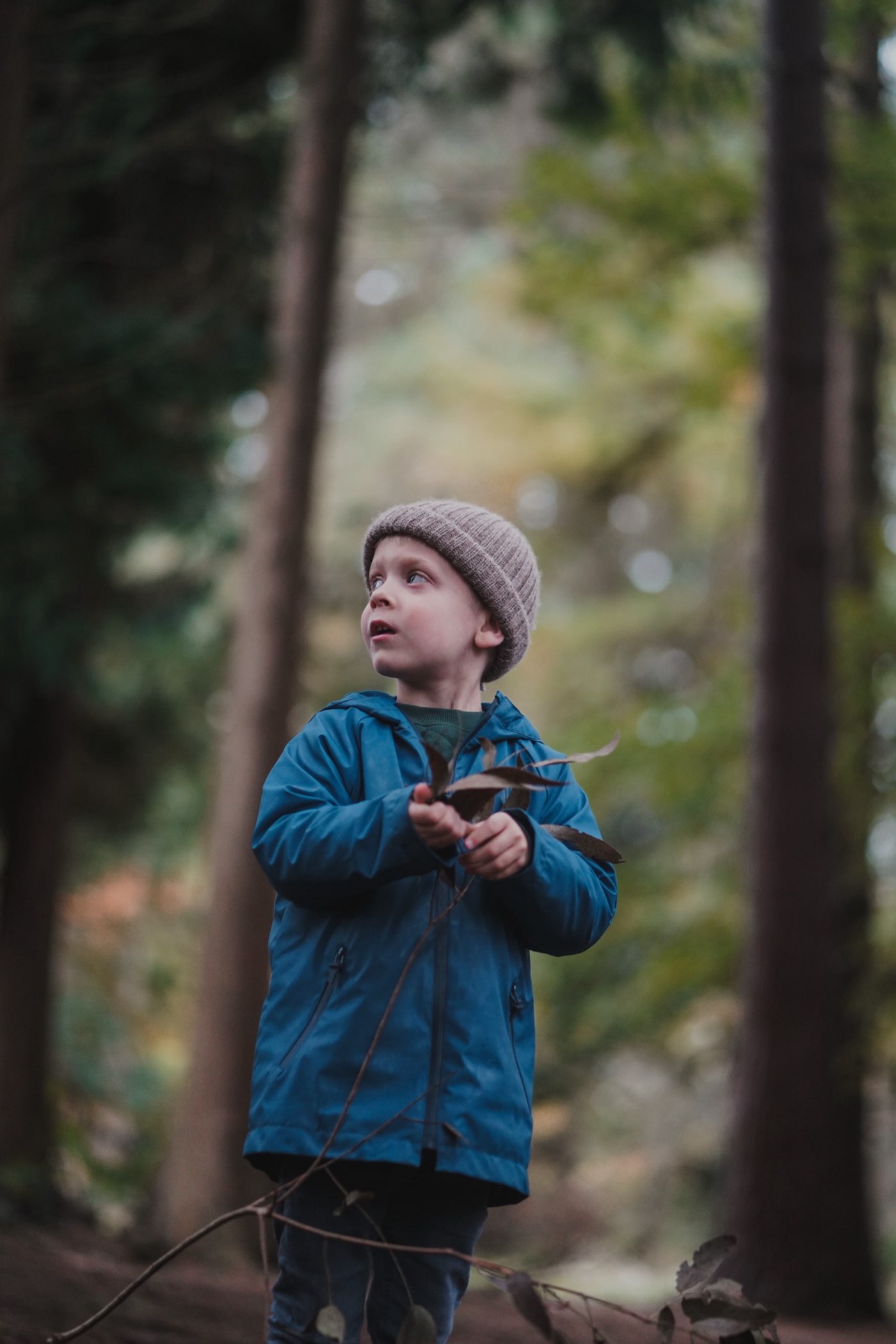 A young boy in a knitted hat and blue coat holding leaves in autumn woodland