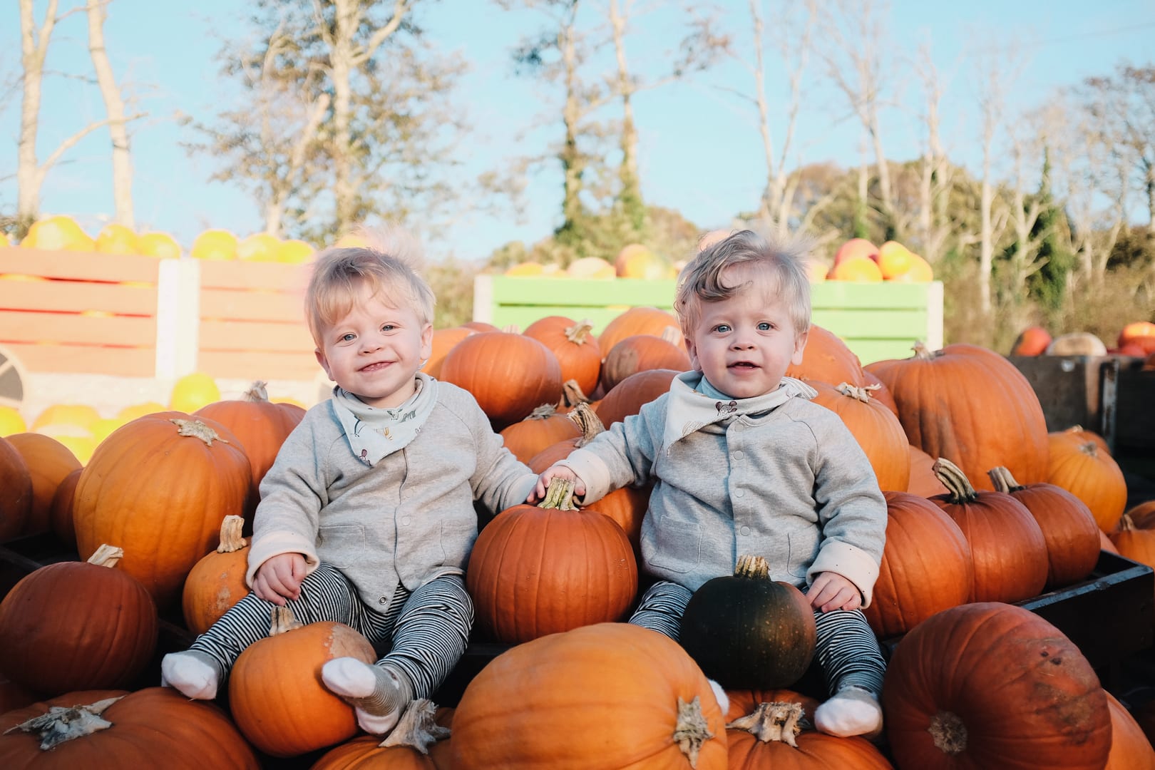 Two toddlers sitting among pumpkins in a pumpkin patch